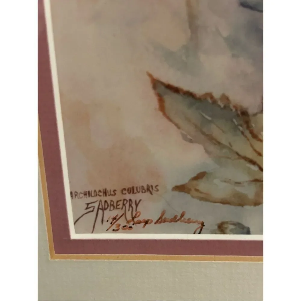 Humming Bird Water Paint by Virginia Sadberry Shabbychic romantic girls nursery